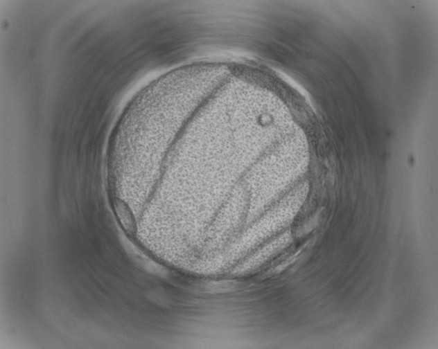 X0000080101471200701051252