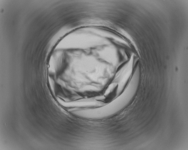 X0000080101472200701051252