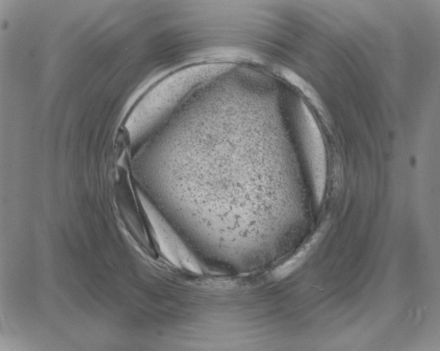 X0000080101473200701051252