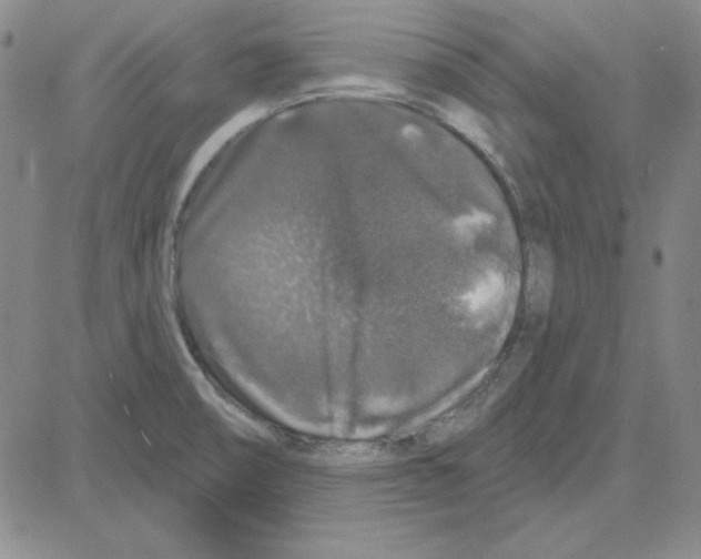 X0000080101474200701051252