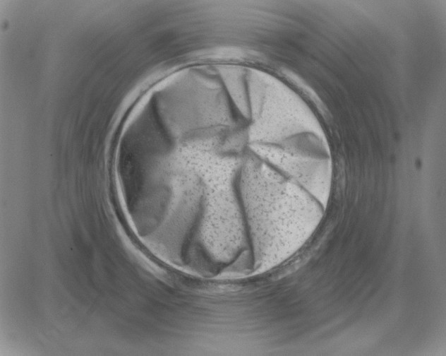 X0000080101475200701051252