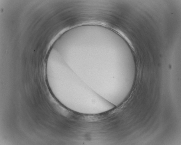 X0000080101476200701051252