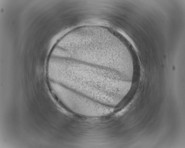 X0000080101477200701051252