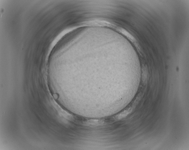 X0000080101478200701051252