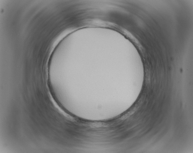 X0000080101479200701051252