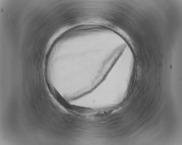 X0000080101480200701051252