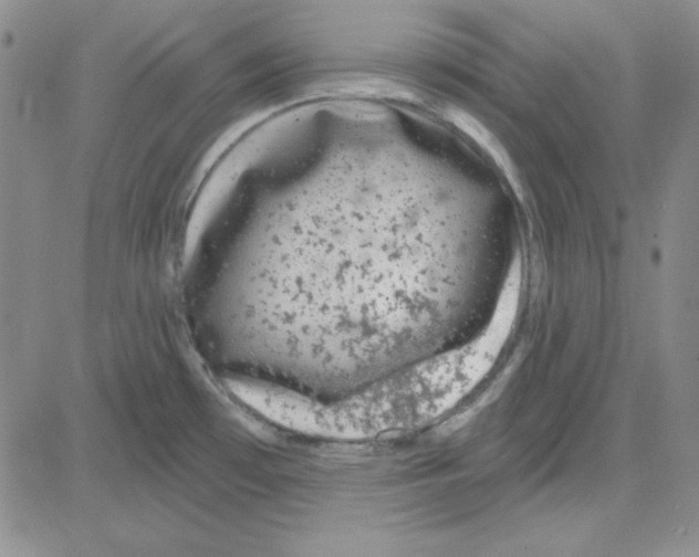 X0000080101481200701051252