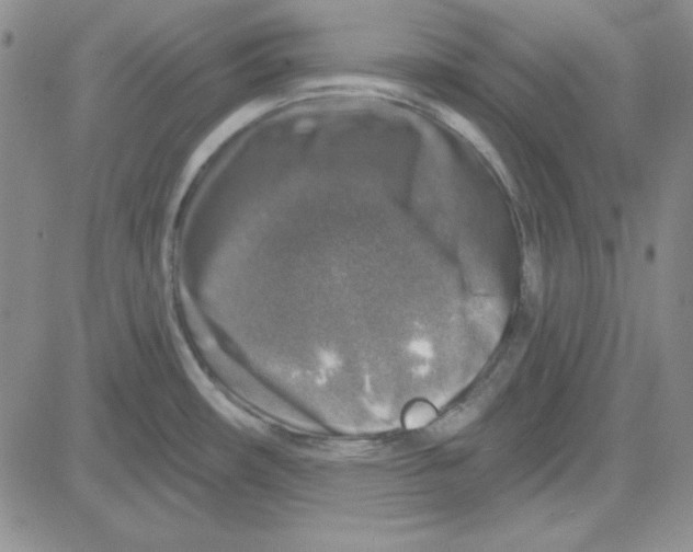 X0000080101482200701051252