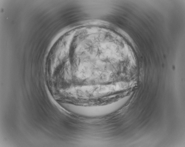 X0000080101483200701051252