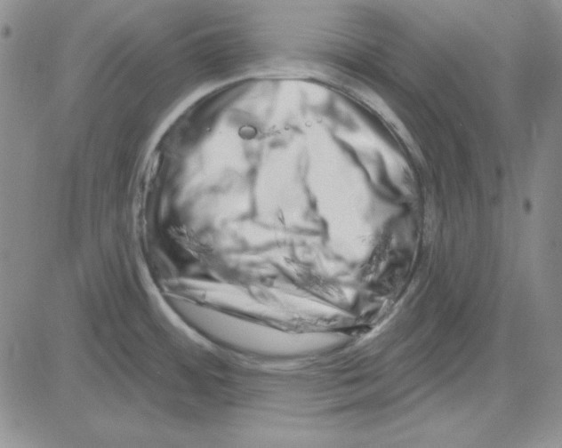 X0000080101484200701051252