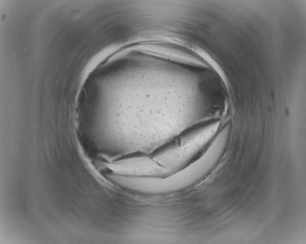 X0000080101485200701051252