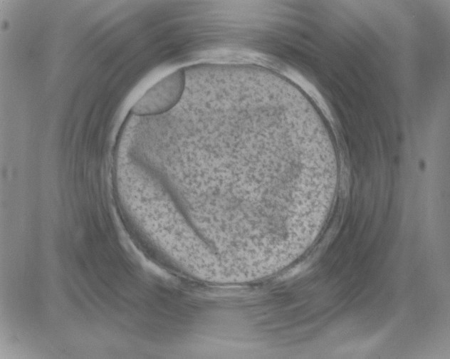 X0000080101486200701051252