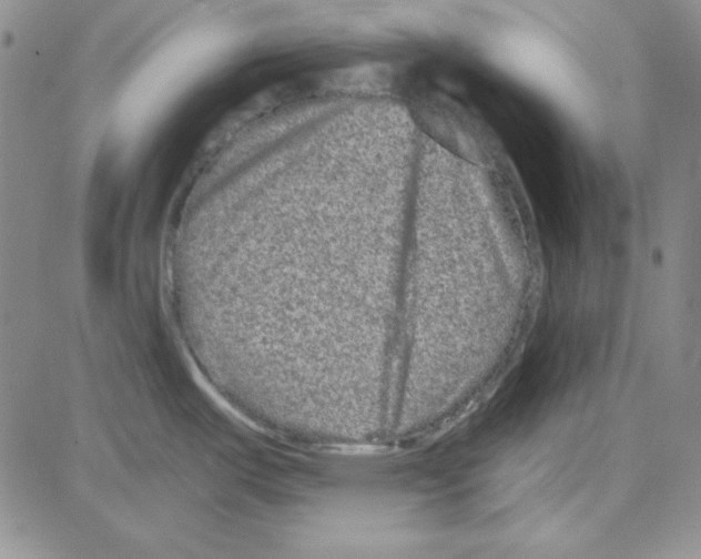 X0000080101487200701051252