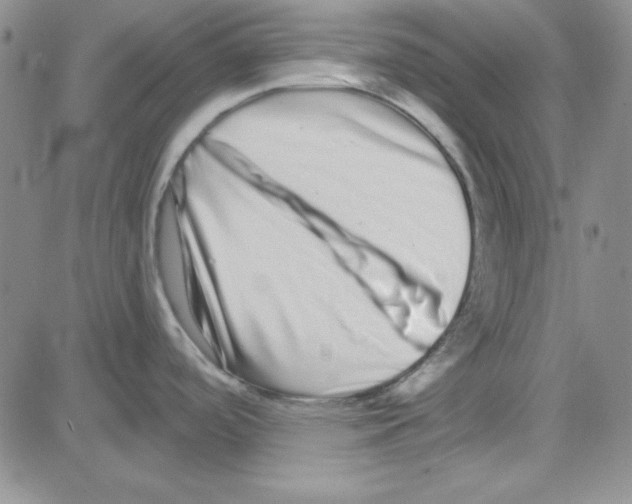 X0000080101488200701051252