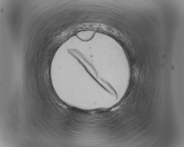 X0000080101489200701051251