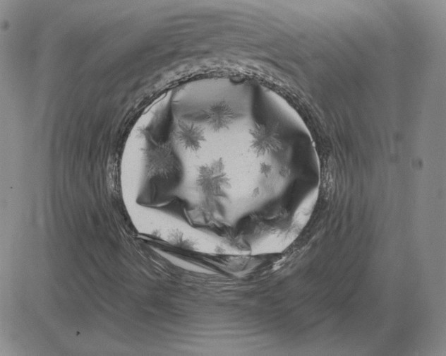 X0000080101490200701051251