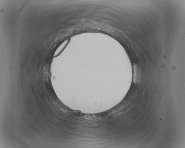 X0000080101491200701051251