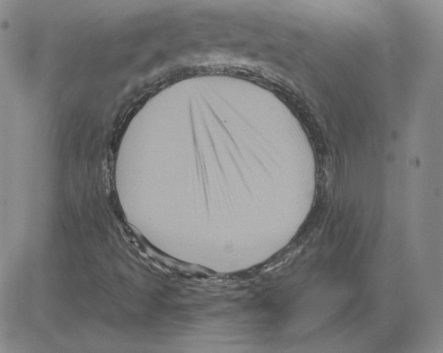 X0000080101493200701051251