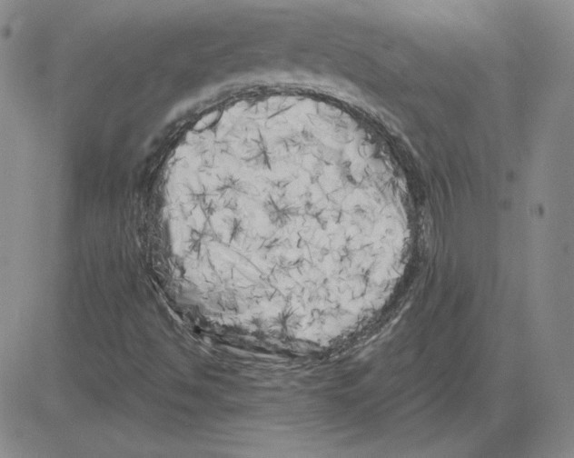 X0000080101494200701051251