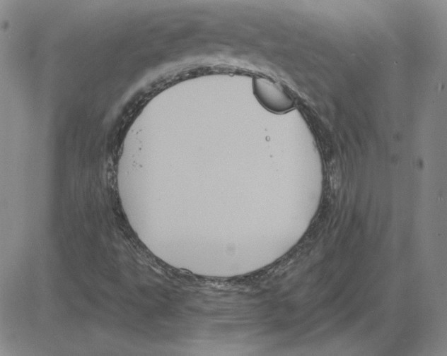 X0000080101495200701051251