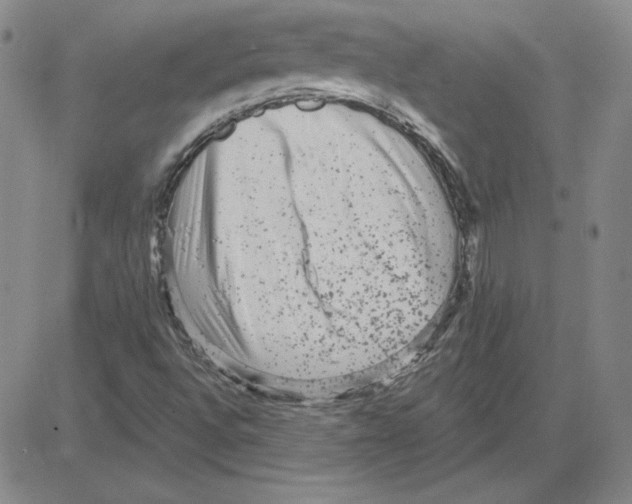 X0000080101496200701051251