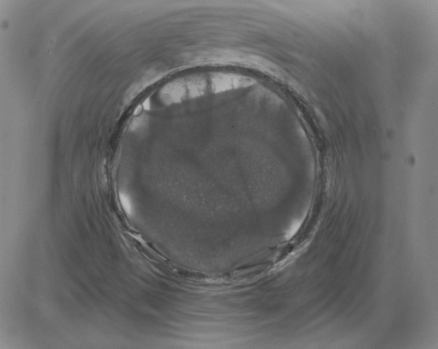 X0000080101497200701051251