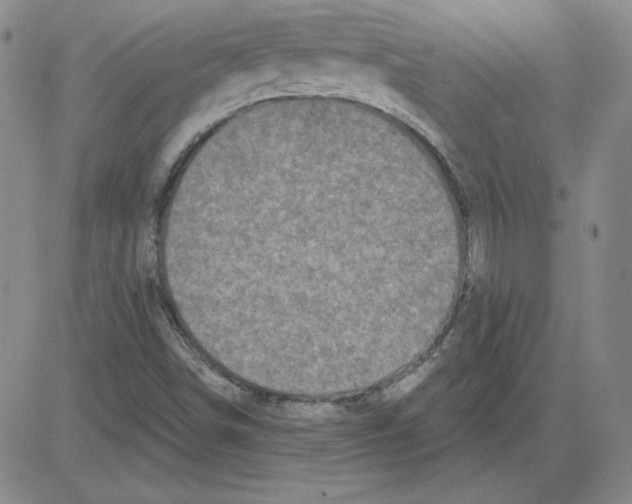 X0000080101498200701051251