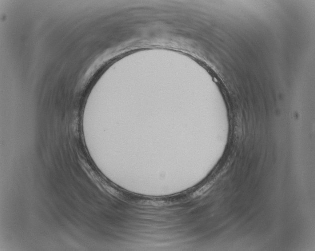 X0000080101499200701051251