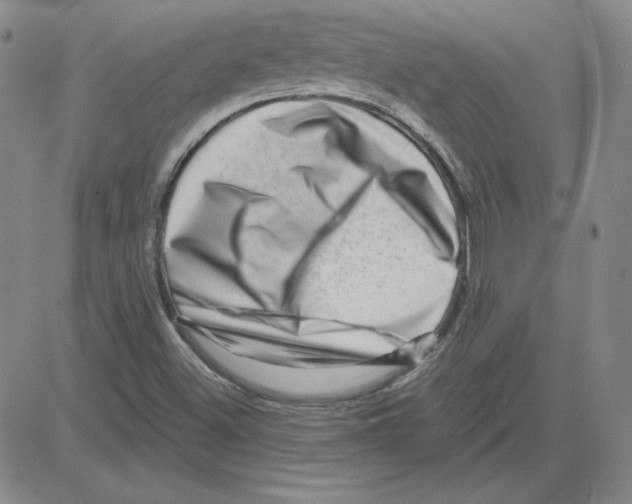 X0000080101500200701051251