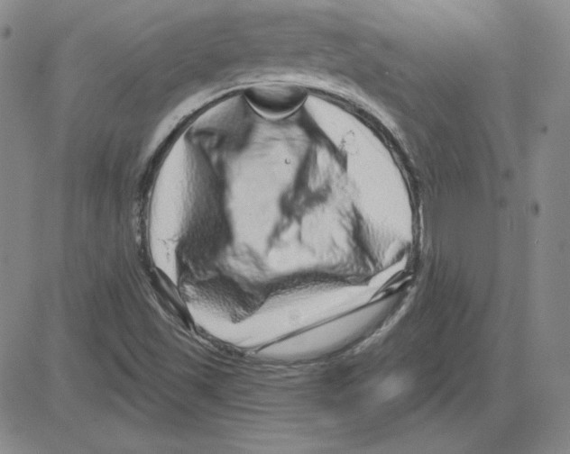 X0000080101501200701051251