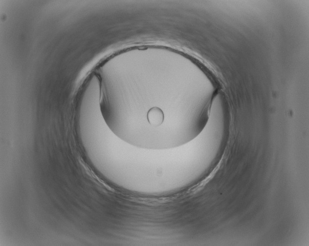 X0000080101502200701051252