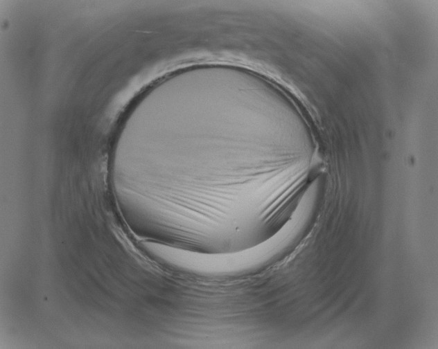 X0000080101503200701051252