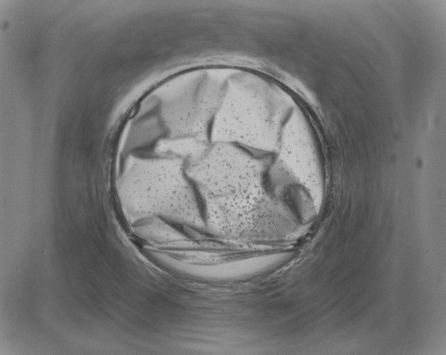 X0000080101504200701051252