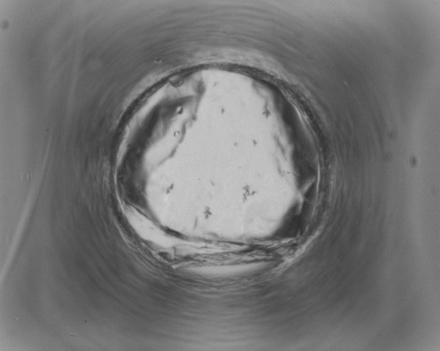 X0000080101505200701051252