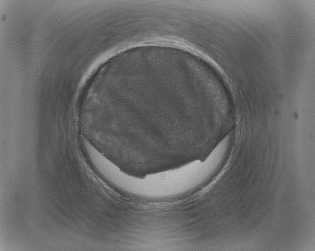 X0000080101506200701051252