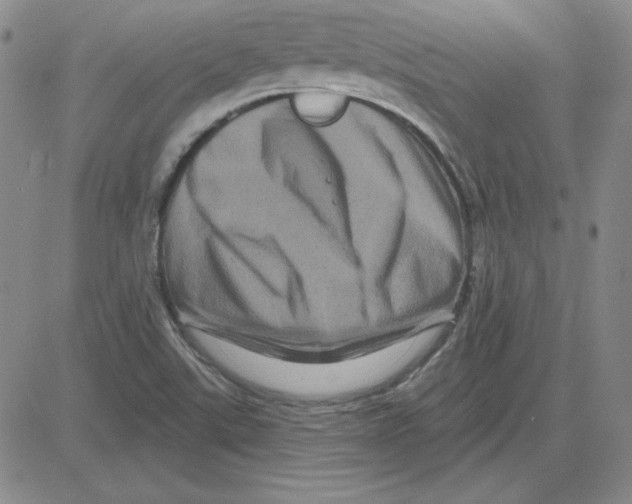 X0000080101507200701051252