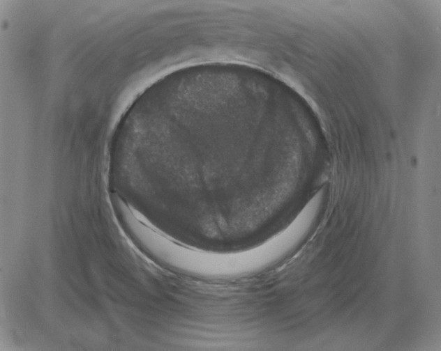 X0000080101508200701051252