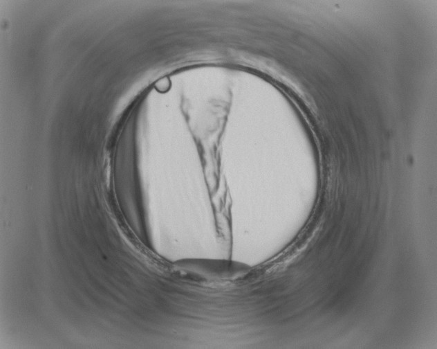 X0000080101509200701051252