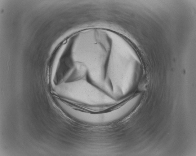 X0000080101510200701051252