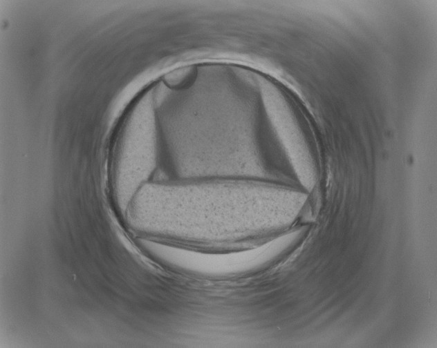 X0000080101511200701051252