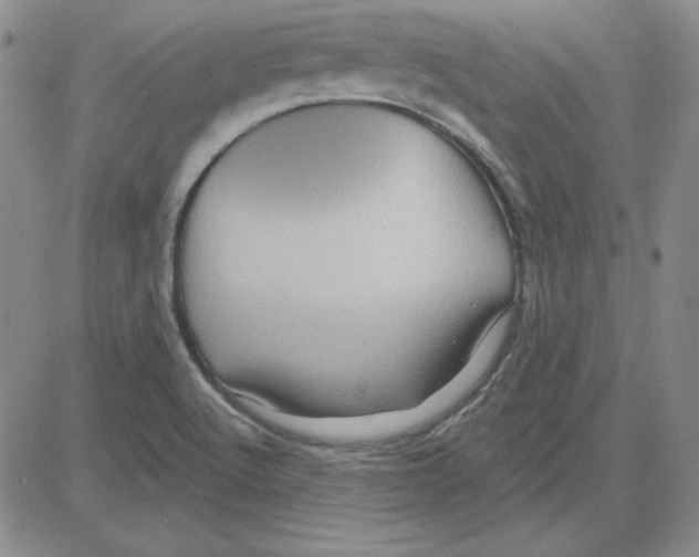 X0000080101512200701051252