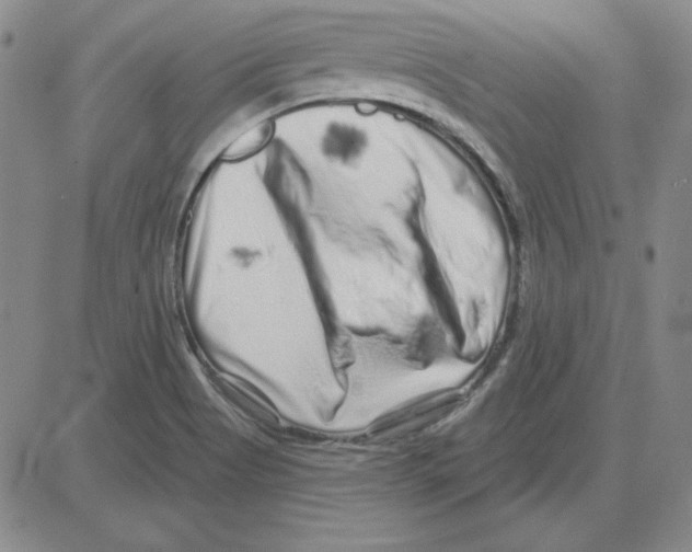 X0000080101513200701051252