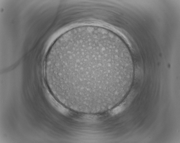 X0000080101514200701051252