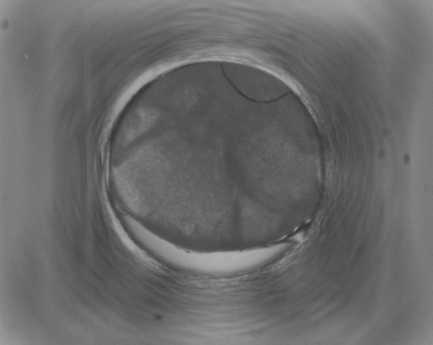 X0000080101515200701051252