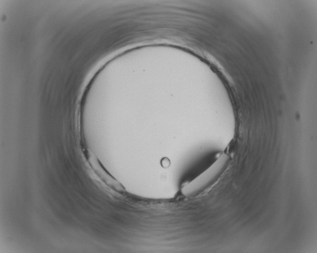 X0000080101516200701051252