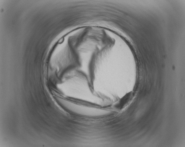 X0000080101517200701051252