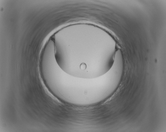 X0000080101518200701051252