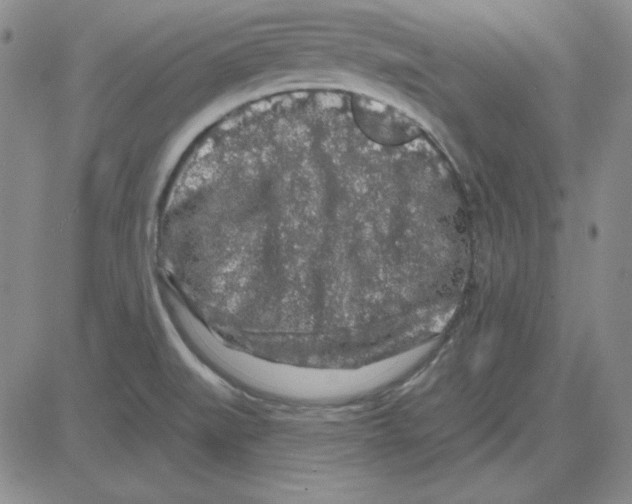 X0000080101519200701051252