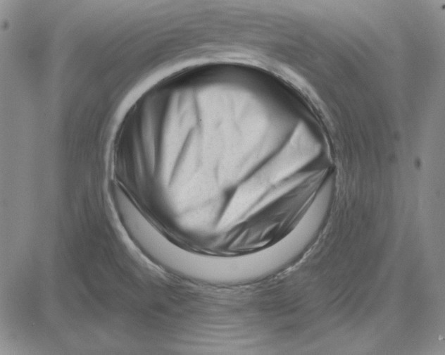 X0000080101520200701051252