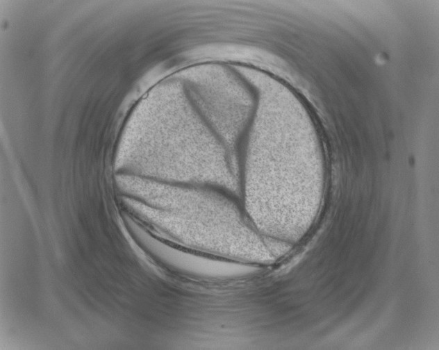 X0000080101521200701051252